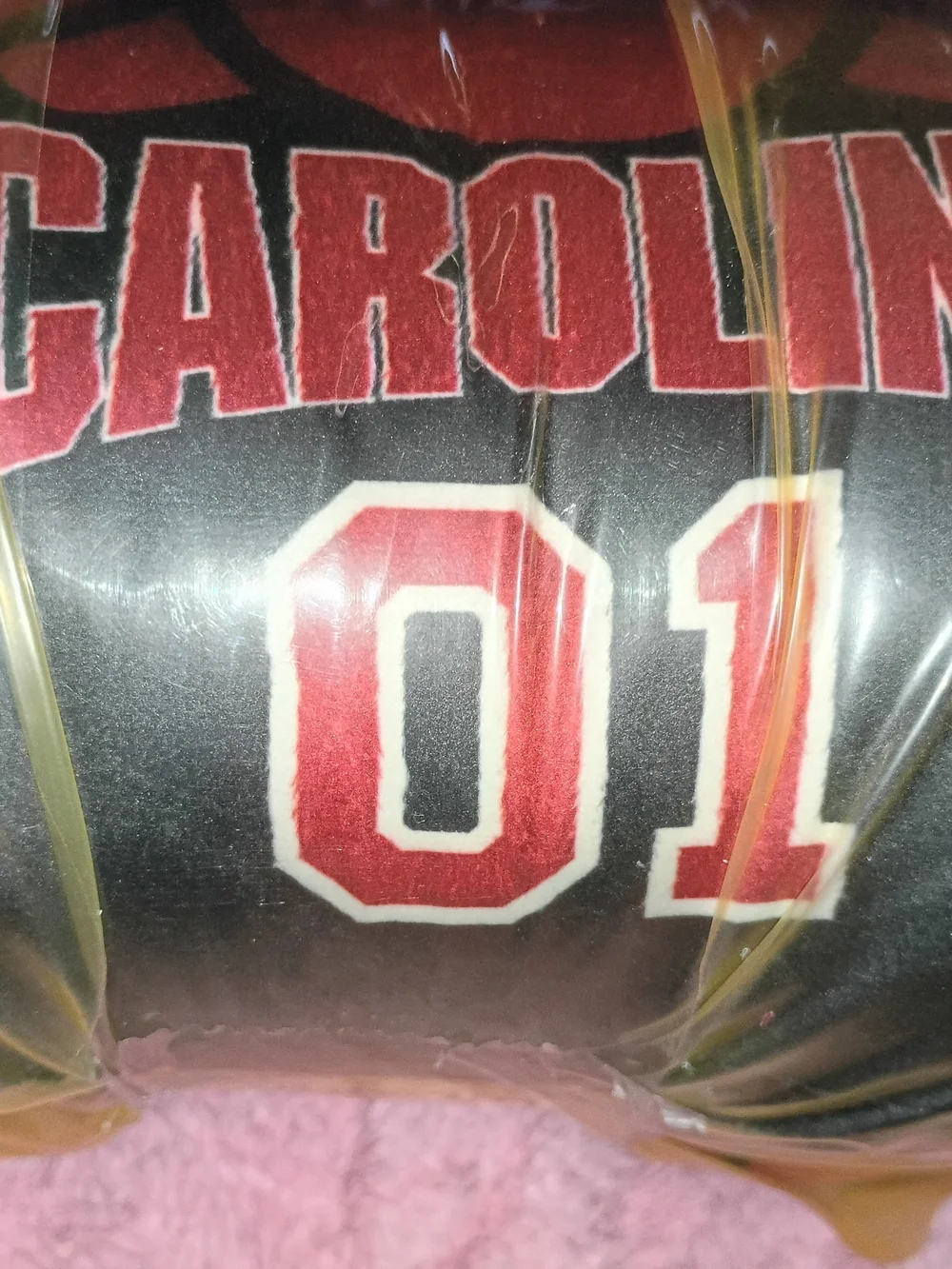 Sleep Squad South Carolina Gamecocks Cocky 12